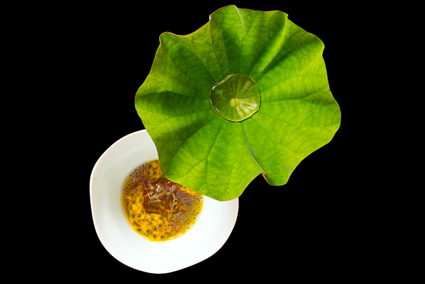 DEN-ASIA-2018-DISH1